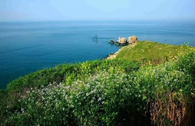 血脂太高少吃油？它是油中“阿斯匹林”，适量多吃，清脂还软血管